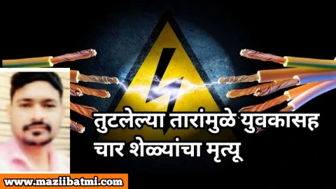 Chandrapur News: Four goats including a young man die due to broken wires! तुटलेल्या तारांमुळे युवकासह चार शेळ्यांचा मृत्यू