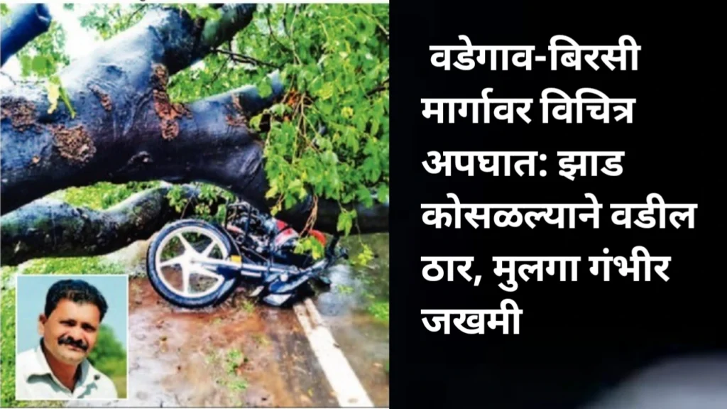 Vadegao Accident 2025 : वडेगाव-बिरसी मार्गावर विचित्र अपघात: झाड कोसळल्याने वडील ठार, मुलगा गंभीर जखमी