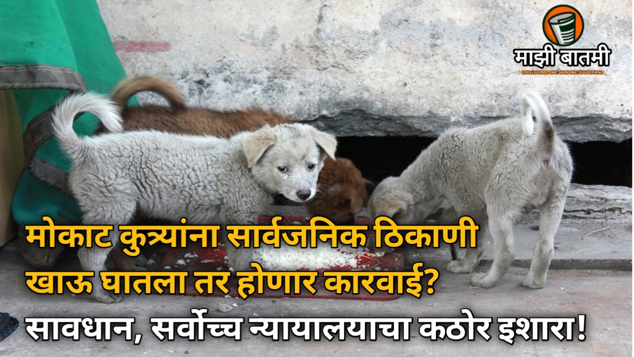 Stray dogs supreme court order 2025: मोकाट कुत्र्यांना सार्वजनिक ठिकाणी खाऊ घातला तर होणार कारवाई? सावधान, सर्वोच्च न्यायालयाचा कठोर इशारा!