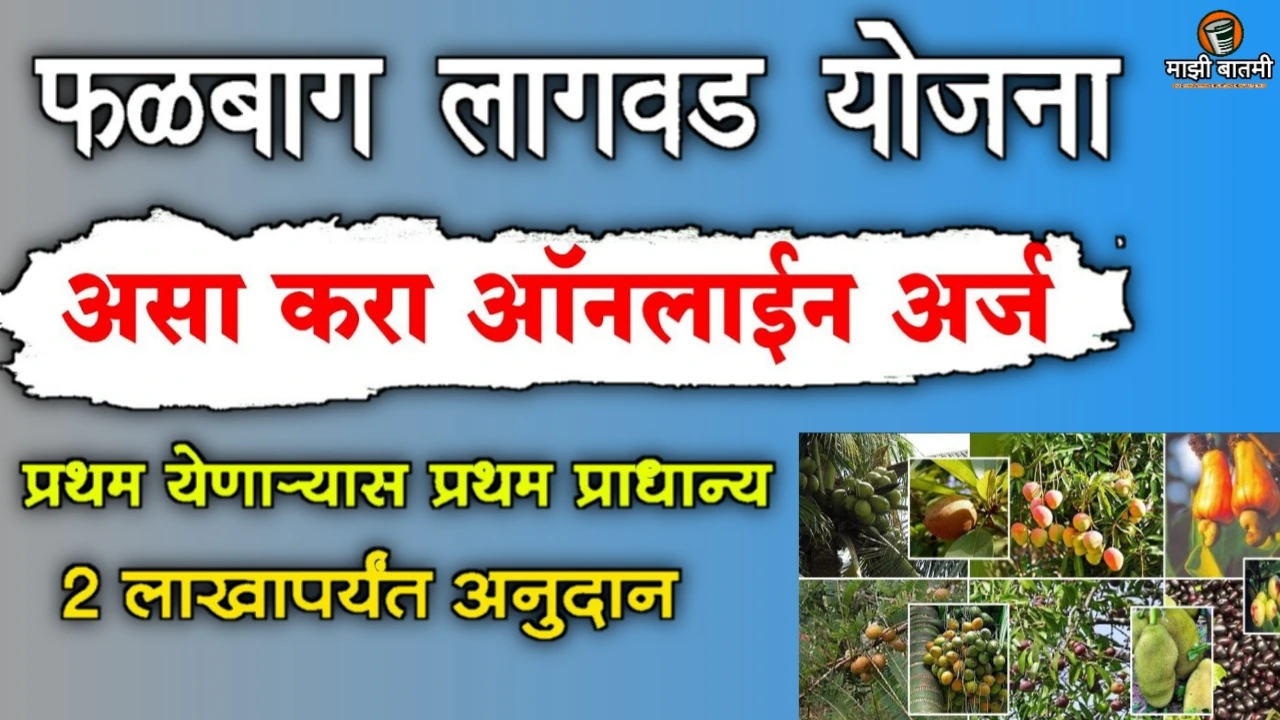 Online Apply Falbag Lagvad Yojna 25-26: फळबाग लागवड योजनेचा अर्ज कसा करायचा?  जाणून घ्या!